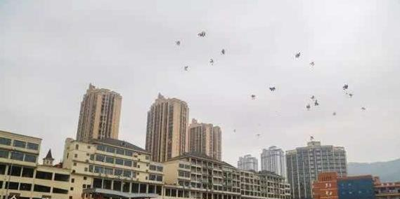 重庆万盛职教中心