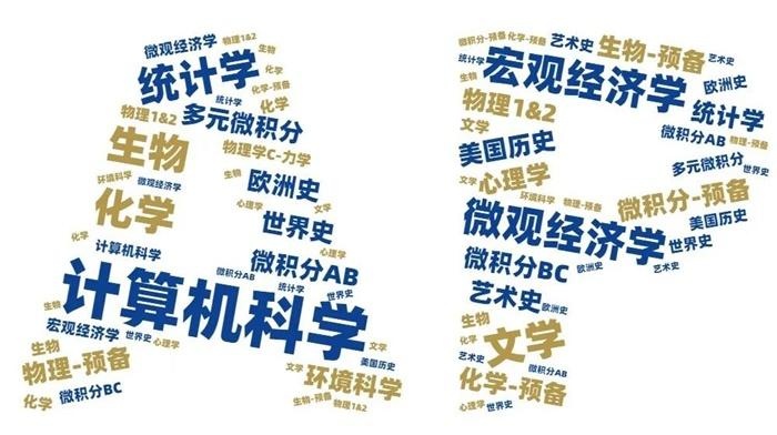 省实AP国际课程