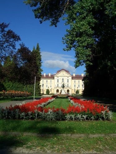 圣伊斯特万大学