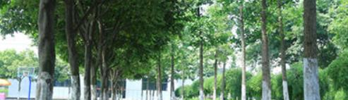 成都实验商贸管理学校