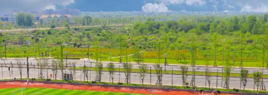 2023四川兴科城市交通高级技工学校招生计划 招生人数是多少(附要求、条件、对象)