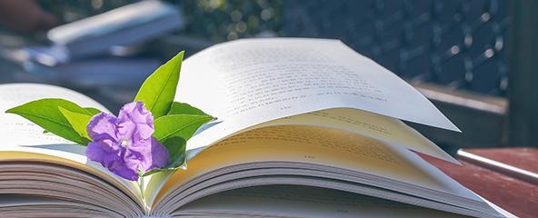 教学规划
