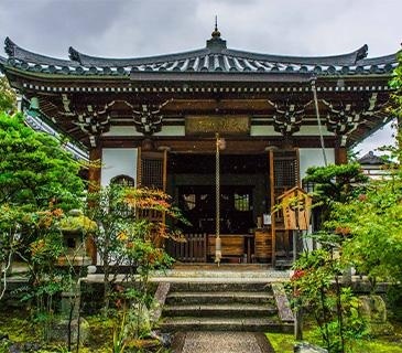 日本留学移民政策