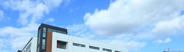 潍坊德润国际双语学校2020年招生简章