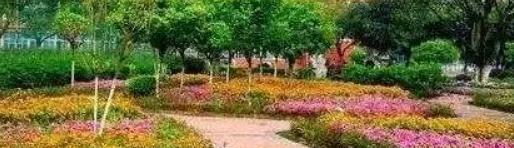 成都文化艺术学校