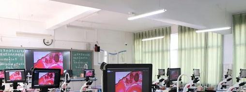 截图_20211116125650