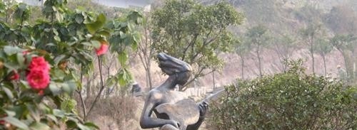 宜宾学院五年制大专网站