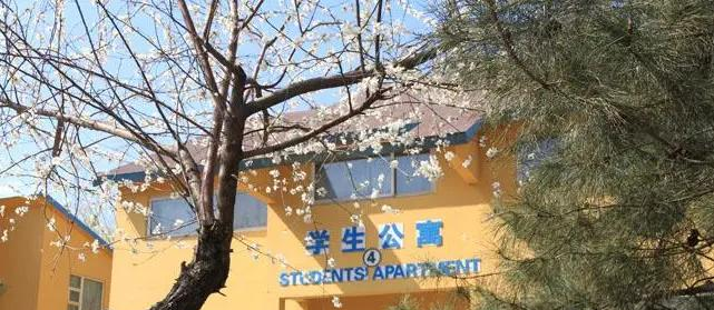 北京私立树人瑞贝学校小学部2023年入学考试