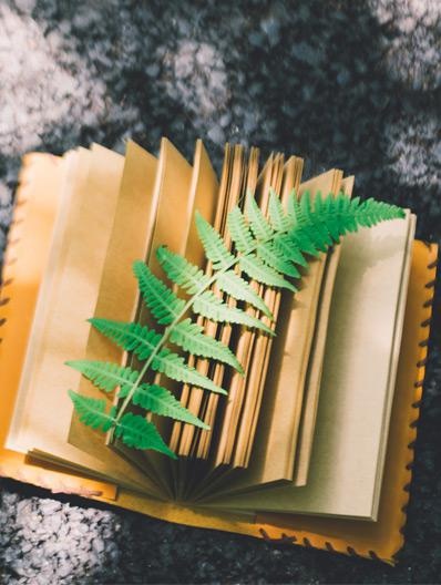 循环记忆学习法