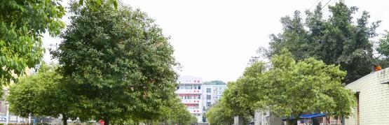 宜宾南溪第二中学