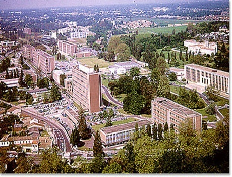 波尔多大学