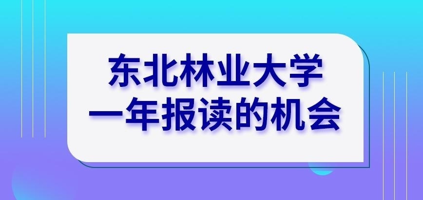 东北林业大学在职研究生一年可报读几次呢