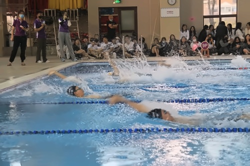 游泳比赛