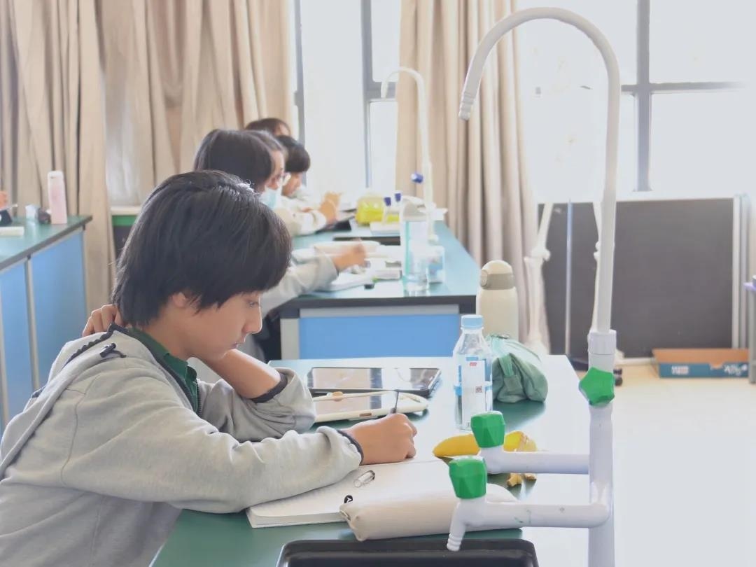 昆明青苗国际学校