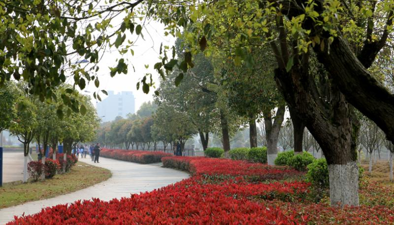 截图20200428142524