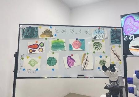 深圳德朗睿思国际学校