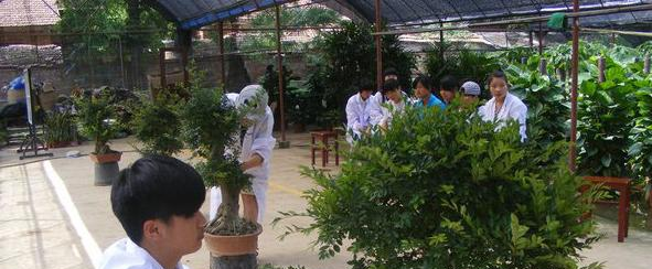 武汉农业学校