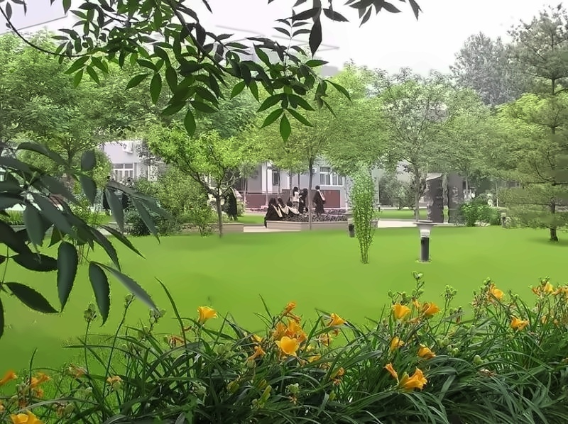 盛夏的北方工业大学
