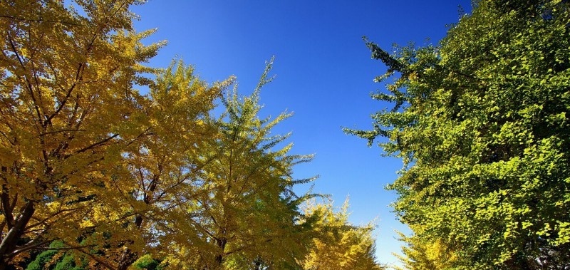 浠水理工中等专业学校