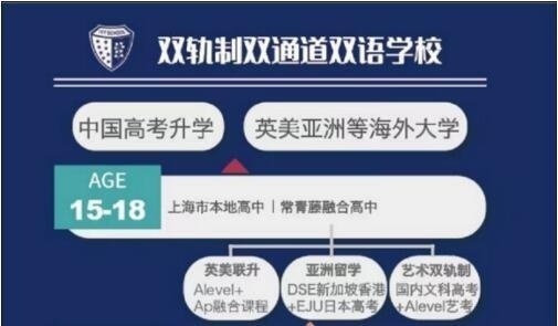 上海常青藤学校.jpg