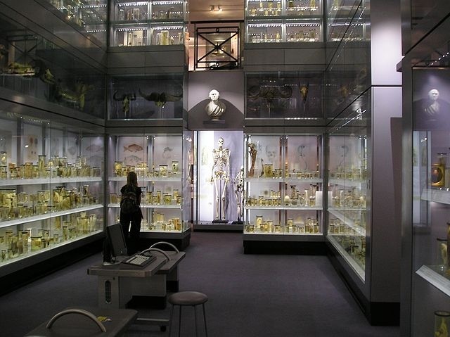 英国皇家外科医学院