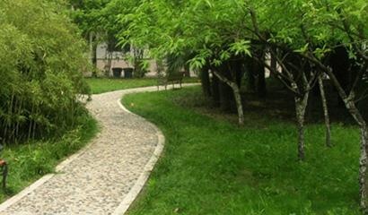 南京金陵中学国际部