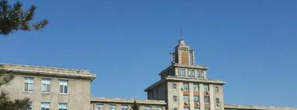 东北大学