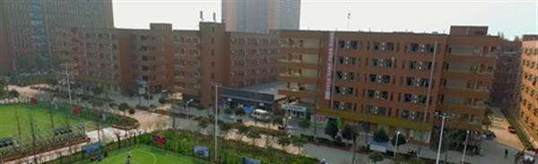 四川希望汽车职业学院是几专