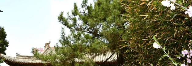 静宁县中学2023年招生代码 