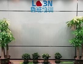 广州鲁班培训