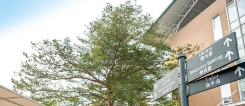 广州誉德莱国际学校初中部2023年入学考试