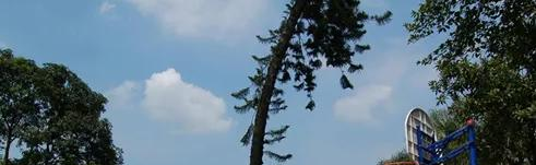 广州英国学校初中部2023年入学条件