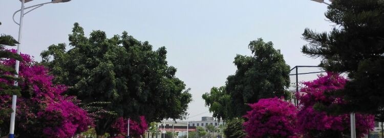 南涧县职业高级中学2022年招生录取分数线