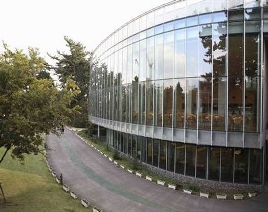 白百合女子大学