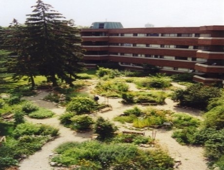 加拿大自然疗法医学院