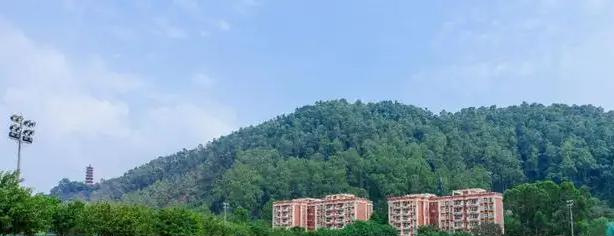 广州英东中学2023年课程体系