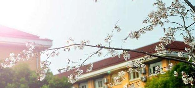 湖北前程交通职业技术学校