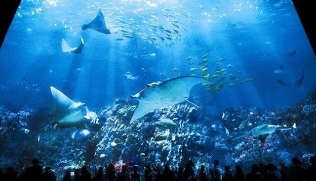 香港海洋公园探险