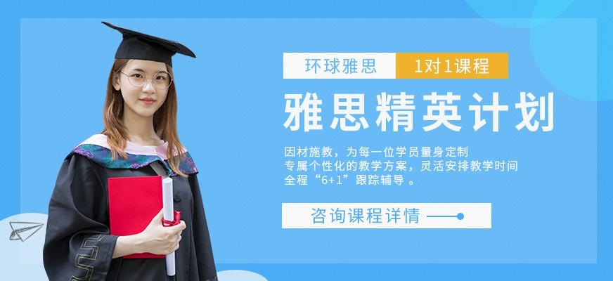 雅思精英计划1对1课程