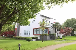 上海美达菲学校校园