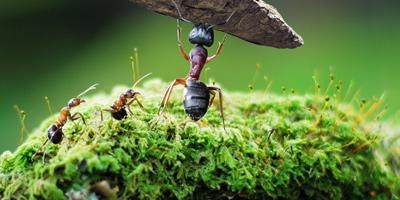 自己想要的人生