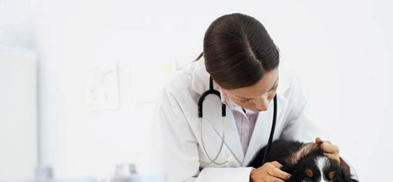 晋州职业技术教育中心