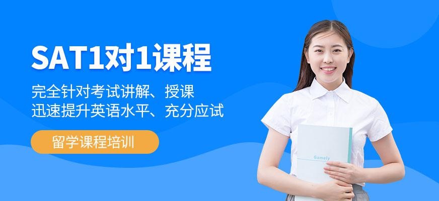派特森sat一对一培训机构