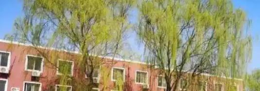 北京加拿大国际学校初中部2023年报名时间