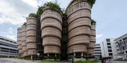公立大学