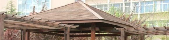 陕西职业技术学院五年制大专地址在哪里