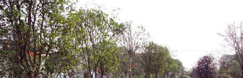 截图20190925091757