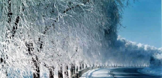 湖南环境生物职业技术学院2019年单招录取分数线