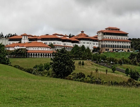 梅西大学