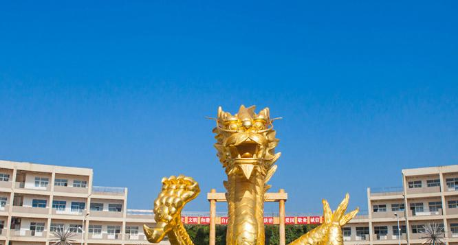 江西旅游商贸职业学院单招简章